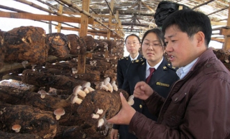 大山合公司：食用菌標準化種植促菇農(nóng)增收 ()