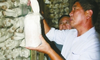 靈壽縣狗臺鄉(xiāng)冀樂食用菌合作社助農(nóng)增收 ()