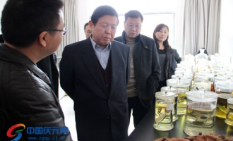 李玉院士到慶元縣考察香菇文化和食用菌產(chǎn)業(yè)發(fā)展狀況 ()