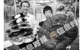 農(nóng)博會上靈芝盆景受關注 ()