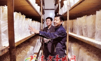 梁山縣西張莊村引進食用菌種植新技術 ()
