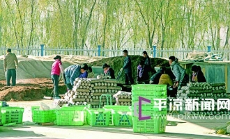 崇信縣錦屏鎮(zhèn)引進食用菌香菇生產(chǎn)開發(fā)項目 ()
