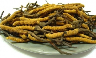極草5X涉嫌違規(guī)銷售 蟲草行業(yè)亂象叢生亟需規(guī)范 ()