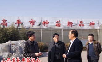 山西省食用菌協(xié)會(huì)常明昌會(huì)長(zhǎng)赴高平農(nóng)業(yè)科技園區(qū)進(jìn)行技術(shù)指導(dǎo) ()