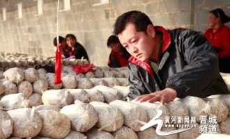 山西省食用菌行業(yè)大學(xué)生村官創(chuàng)業(yè)突出貢獻(xiàn)者趙陳云 ()