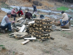 天麻种植技术/状元天麻/宜昌天麻种植技术高产技巧/参观学习图1