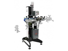 X30系列自动真空旋盖机图1