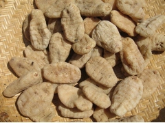 三峡高山乌红天麻图3