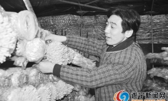 遂寧：災(zāi)后重建食用菌基地產(chǎn)銷兩旺 ()