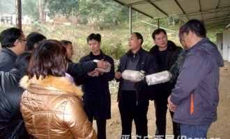 靖西縣：食用菌種植技術(shù)送上門(mén) ()