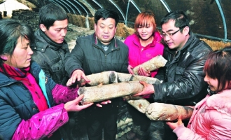 永望食用菌專業(yè)合作社助農(nóng)增收 ()