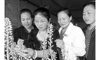 周長(zhǎng)霞讓天麻產(chǎn)業(yè)成為農(nóng)民發(fā)家致富的“綠色銀行” ()
