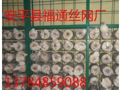食用菌出菇网格 菇架图1