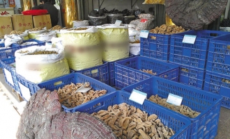 蟲(chóng)草價(jià)格又漲 ()