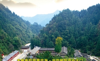 2013首屆全國(guó)豬苓會(huì)議5月將在陜西留壩召開(kāi) ()