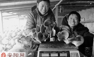 張東穩(wěn)夫婦種植蘑菇增收 ()