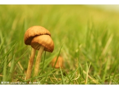 淄博齐华托盘有限公司图1