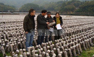 龍泉市農(nóng)業(yè)局技術(shù)人員對農(nóng)戶進行食用菌管理技術(shù)輔導(dǎo) ()