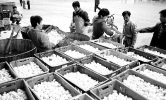 南菇北調(diào) 閩浙雙贏 ()