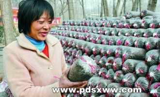 李枝種植食用菌3萬多袋 ()