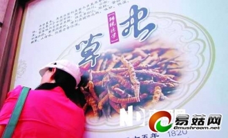 星河生物四漲停 蟲草尚未產(chǎn)業(yè)化毛利回升有難度 ()