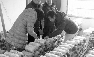 中國農(nóng)科院“牽手”岳陽市食用菌產(chǎn)業(yè) ()