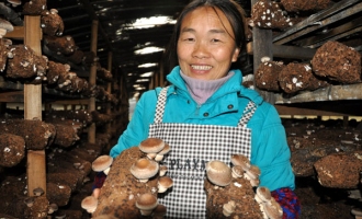 榕江縣栽麻鄉(xiāng)小利村香菇種植富農(nóng)家 ()