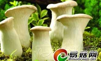 多吃魚肉和食用菌 飲食“五多”讓你長壽 ()