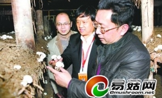 王澤生：“分子眼”引航現(xiàn)代蘑菇產(chǎn)業(yè)(圖) ()