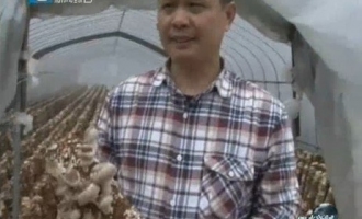 麗水：蓮子殼栽培食用菌獲成功 ()