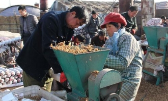 平泉食用菌富農(nóng)家 ()