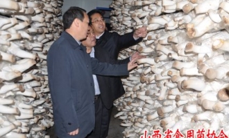 劉潤民代市長深入澤州縣食用菌科技專家大院調(diào)研 ()