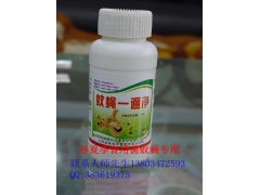 春夏季食用菌蚊蝇克星图2