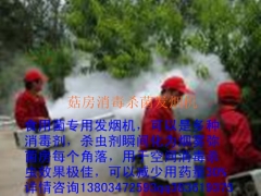 春夏季食用菌蚊蝇克星图3