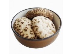 供应食用菌花菇图1