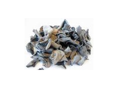 求购香菇木耳银耳各种食用菌图1