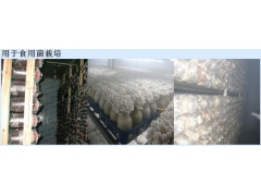 食用菌加湿机案例图片图1