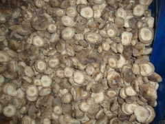 供应速冻香菇整菇图1