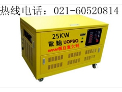 25kw汽油发电机，招商发电机图1