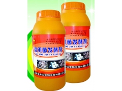 食用菌------发酵剂图2