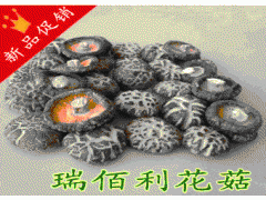 供应瑞佰利花菇，食用菌图1