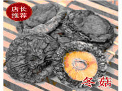 供应瑞佰利冬菇，食用菌图1