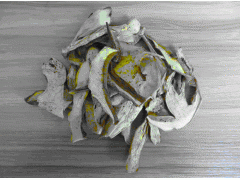 供应瑞佰利牛肝菌，食用菌图1