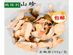 供应瑞佰利杏鲍菇，食用菌图1