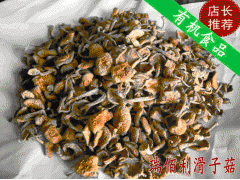 供应瑞佰利滑子菇，食用菌图1
