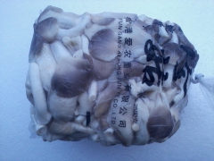 灌南秀珍菇大量上市了，有意者请联系18061313335谢生图1