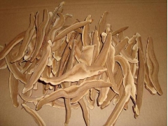 产地直销灵芝片图1