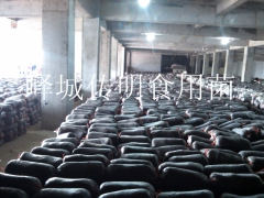 全年供应平菇，秀珍菇，菌种出菇菌棒图3