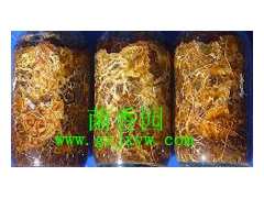 贵州贵阳天麻栽培技术天麻种植方法图3