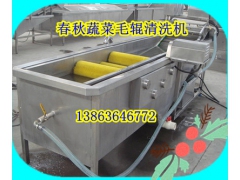 蘑菇食用菌喷淋清洗机13863646772图2